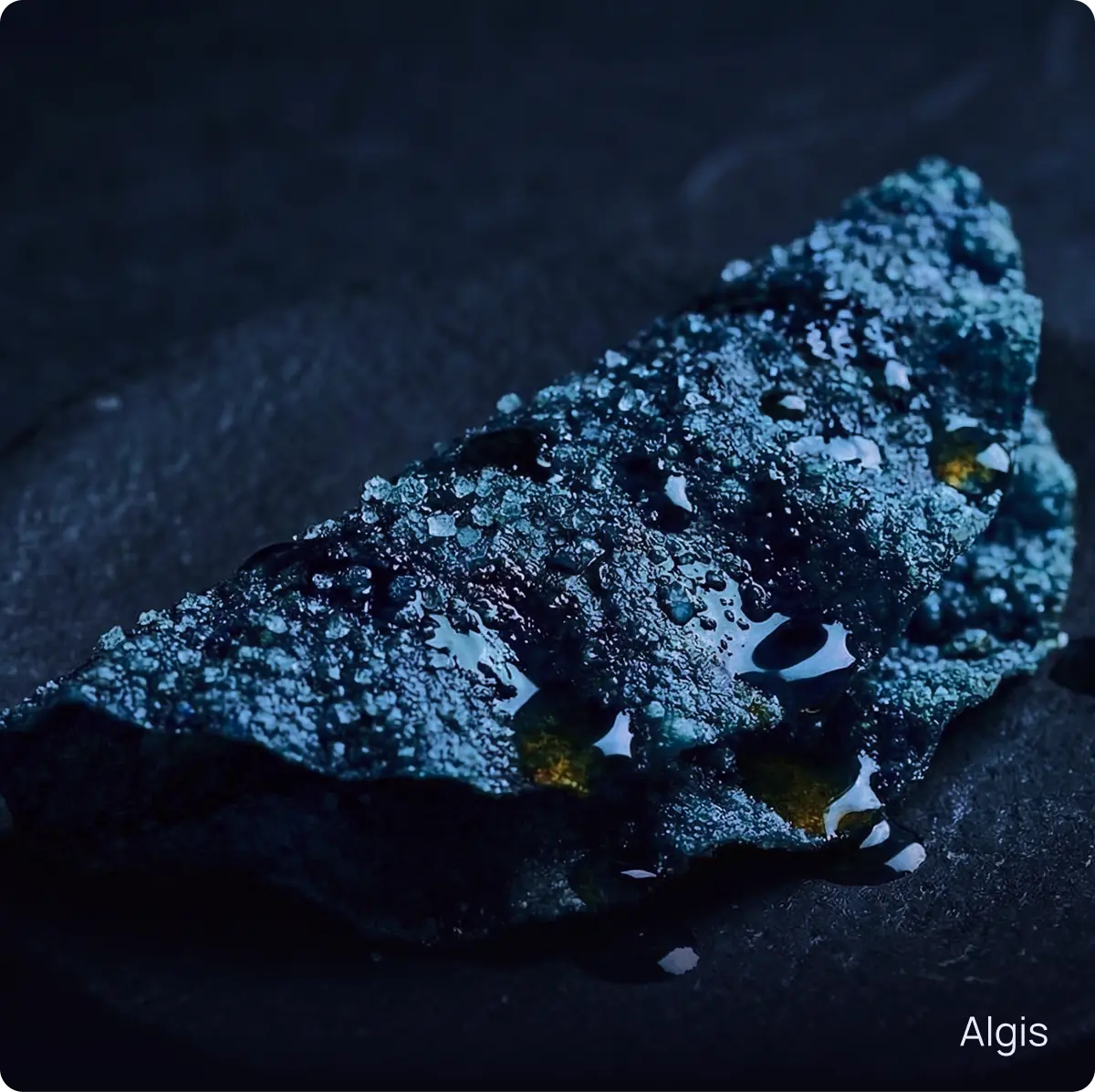 Algis: cialda di alga blu scuro con cristalli salini e olio di kelp su pietra nera.