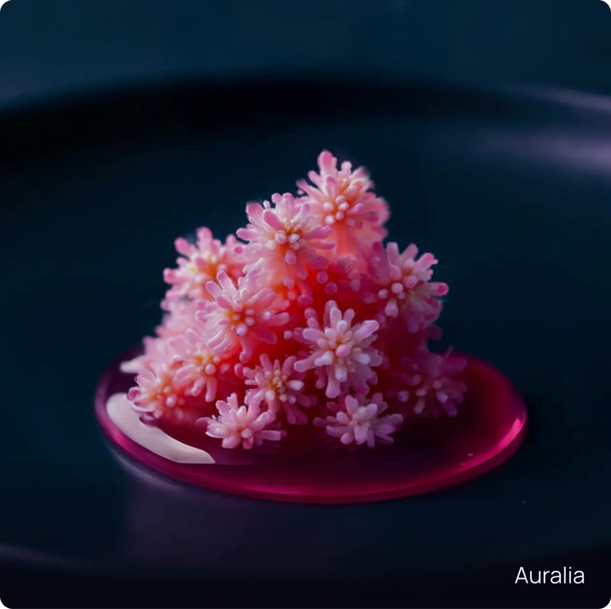 Auralia: licheni areati rosa al polline marino serviti fumanti con cristalli di sale microfiltrato.